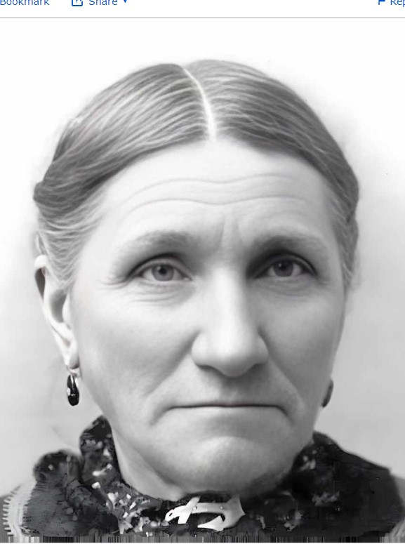 Martha Ann Chapman (1832 - 1904) Profile